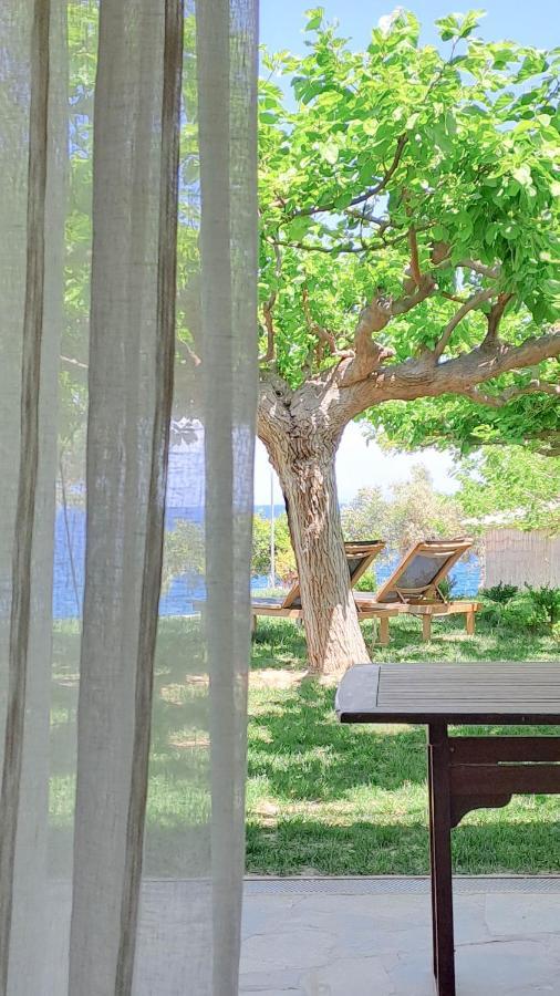 Nama Beach House Arkadiko Chorio Экстерьер фото