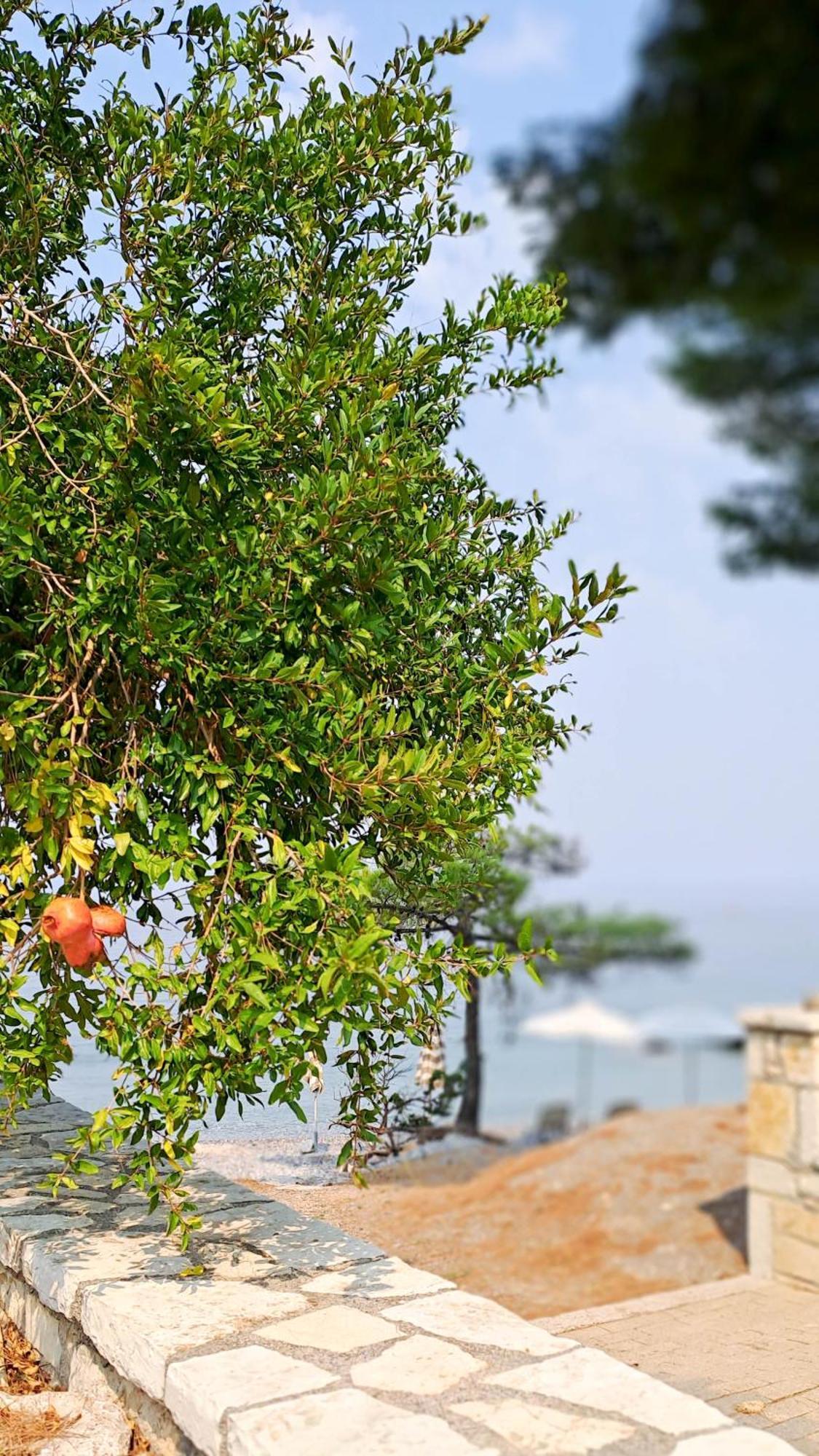 Nama Beach House Arkadiko Chorio Экстерьер фото